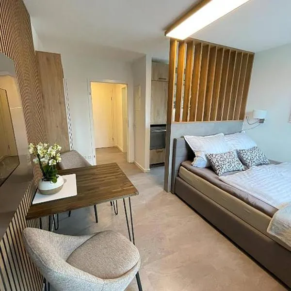 Vision - Apartment 27 - Bad Klosterlausnitz，位于巴德克洛斯特尔劳斯尼茨的酒店
