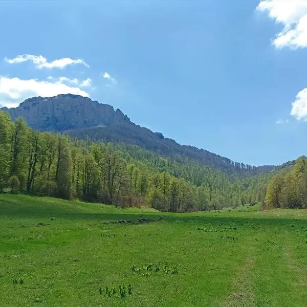 Apartmani Jelenača，位于Sinanovići的酒店