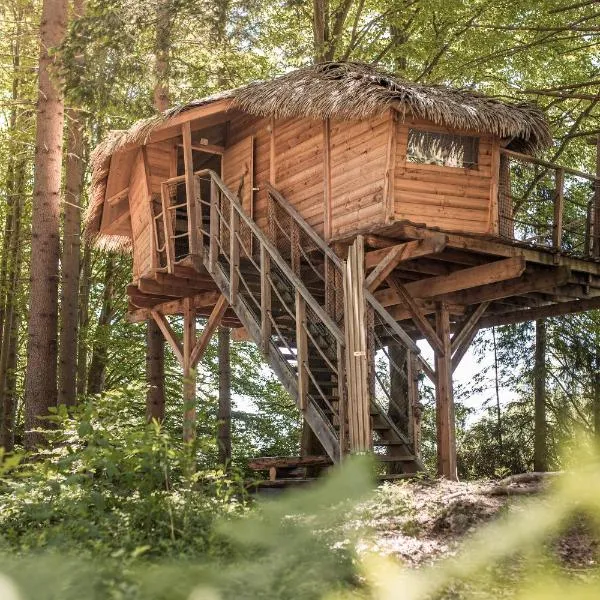 Treehouse Šumava，位于普拉哈季采的酒店
