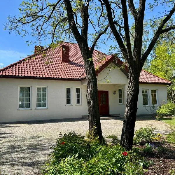 Villa Otolice obok Łowicza, 6 sypialni, basen, sauna, snooker, 50 minut od Warszawy i Łodzi，位于沃维奇的酒店