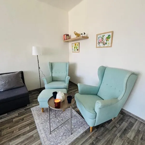 Apartmány Komenského Velké Losiny，位于大洛西尼的酒店