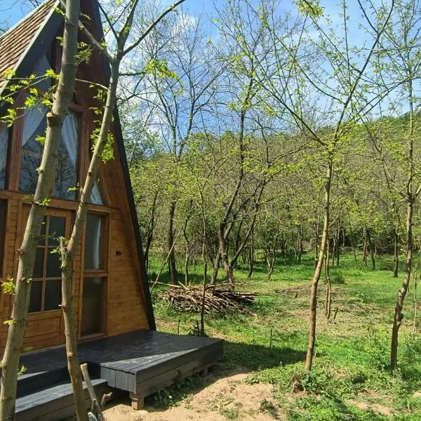Retreat în padure，位于Buchin的酒店