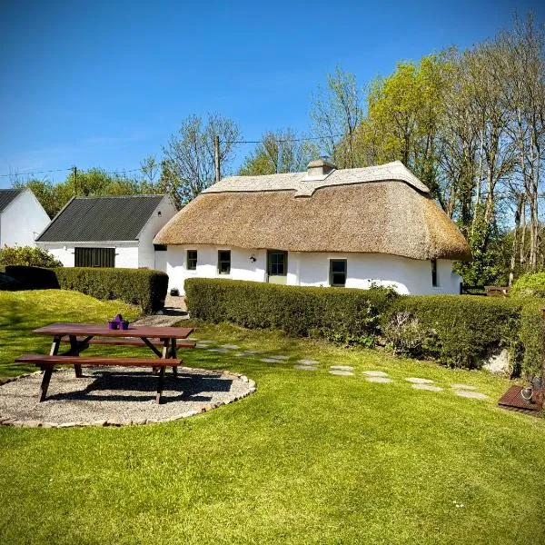 Murphys Thatched Cottage，位于米切尔斯敦的酒店