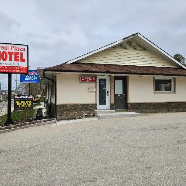 森林广场汽车旅馆，位于Mount Forest的酒店
