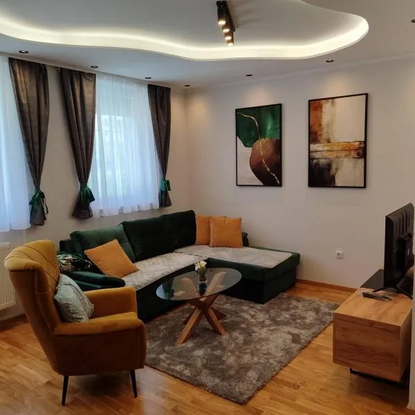 Apartman Višnja，位于帕莱的酒店
