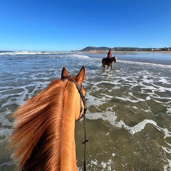 Royal Club Equestre Detroit Bed and Breakfast，位于丹吉尔的酒店