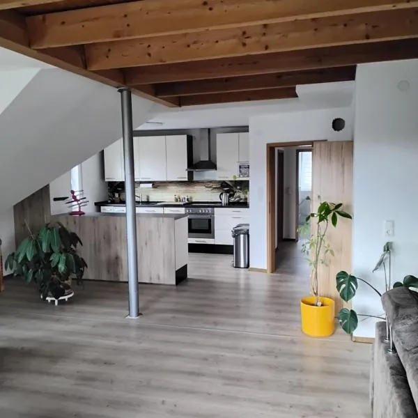 FW zur Gemütlichkeit，位于希尔沙伊德的酒店