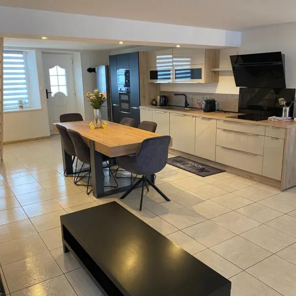 Résidence du Lion d'Or - Appartements & Vue sur rivière,位于Conflans的酒店