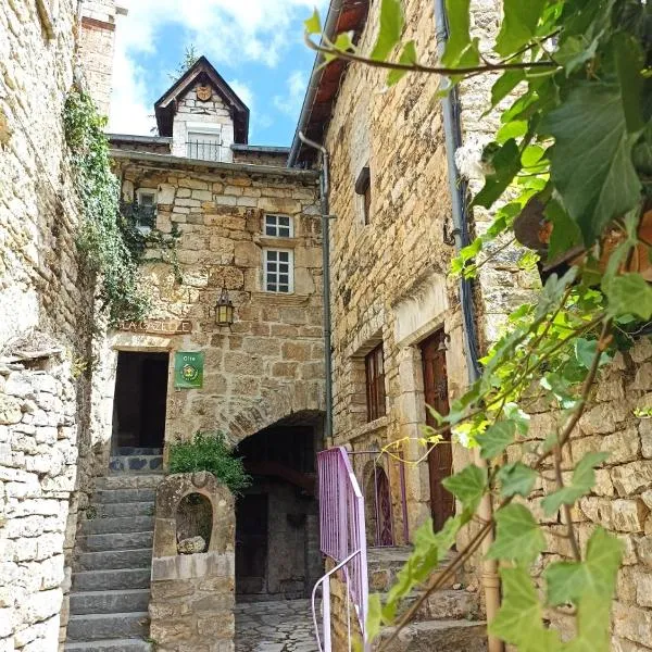 Le gîte de Latour Bas，位于圣埃尼米耶的酒店