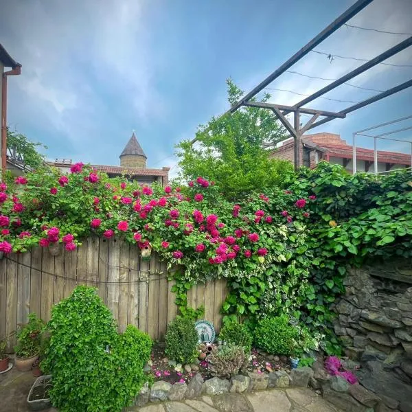 VILLA SABA WITH TWO BEDROOMS- სასტუმრო საბა，位于姆茨赫塔的酒店