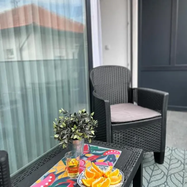 EFESA Apartments，位于维索科的酒店
