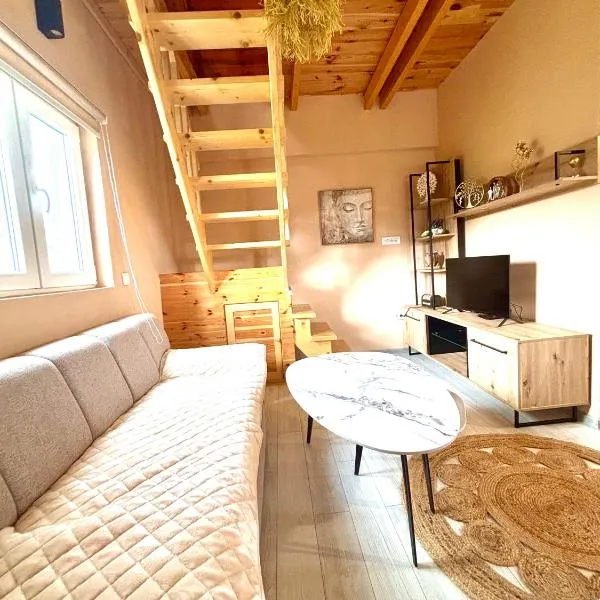 Lux Montis，位于Ninkovići的酒店