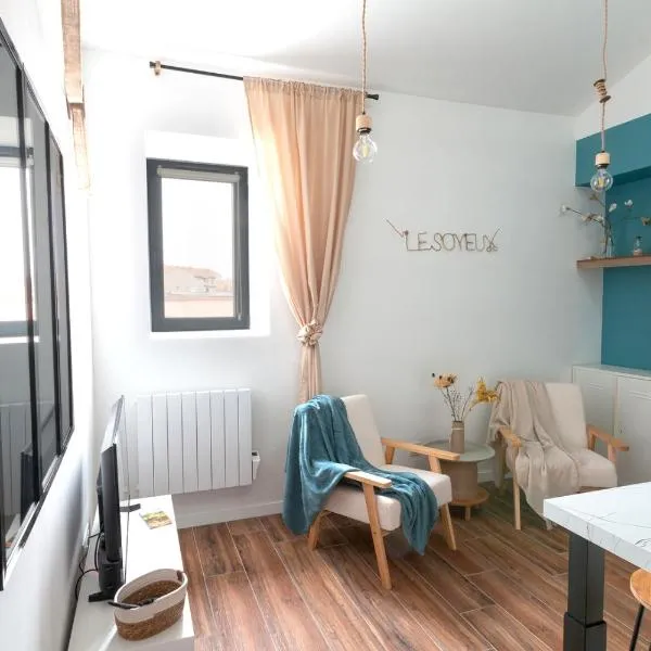 Le Soyeux - 100m de la Gare & parking privé，位于罗阿纳的酒店