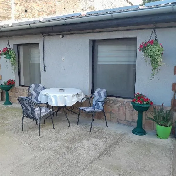 Apartman Sanika，位于Sremska Kamenica的酒店