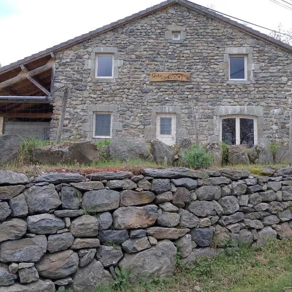 Maison de village gîte de "La Roche"，位于圣于连－沙普特伊的酒店