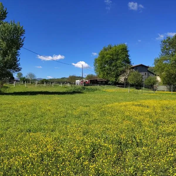 La baia dei lupi，位于Rezzano的酒店