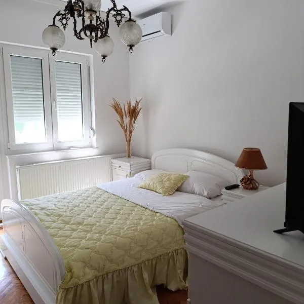 SREMICA - Guest House，位于Pećinci的酒店
