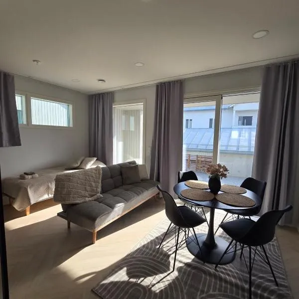 Apartment Hakalahdenkatu，位于科科拉的酒店