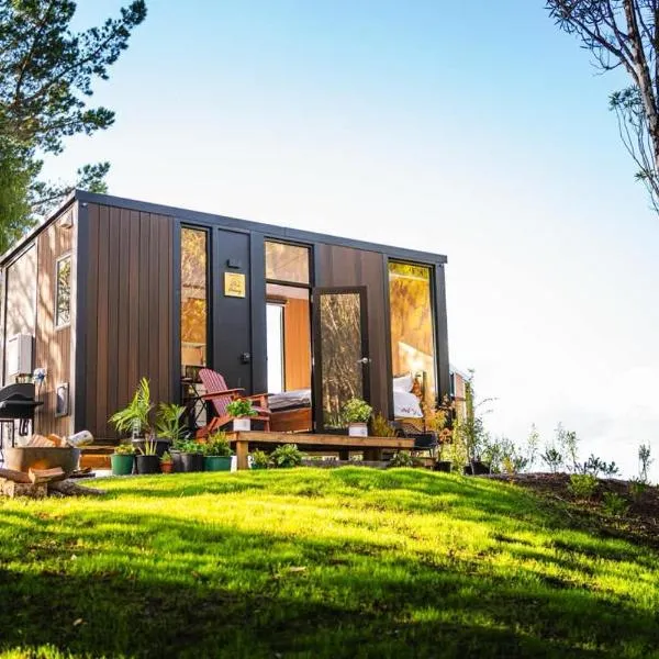 The Mini Mountain Hut 2 by Tiny Away，位于Egmont Village的酒店