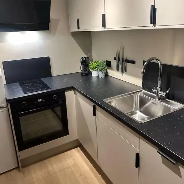 Ålesund Campus Apartments，位于奥勒松的酒店