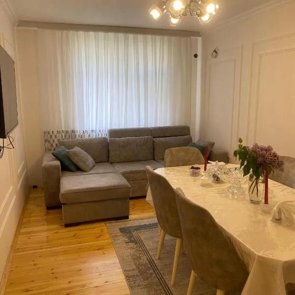 White House - Modern Apartment - Family Friendly，位于连科兰的酒店
