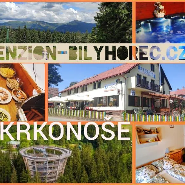 Pension Bílý Hořec，位于弗尔赫拉比的酒店