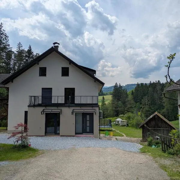 Fuchsbauerhof - Ferienwohnung，位于Kniezenberg的酒店