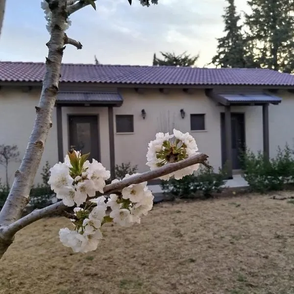 דצ'א - Дача - Dacha，位于El-Rom的酒店