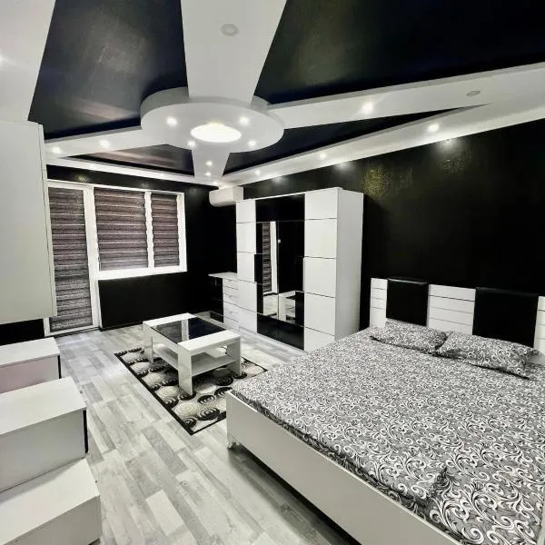Modern Nostalgia Apartment，位于特尔戈维什特的酒店