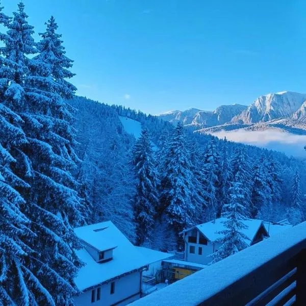 Vero Residence Predeal，位于普雷代亚尔的酒店