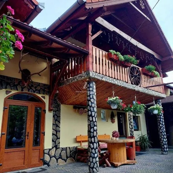 Pensiunea Călin，位于古拉勒乌卢伊的酒店