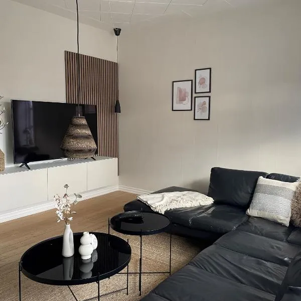 Stor lys lejlighed på 100 kvm, central beliggenhed，位于霍尔斯特布罗的酒店