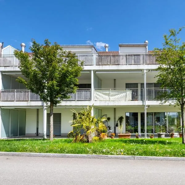 Dingqin'Home , 5425 Schneisingen，位于Schneisingen的酒店