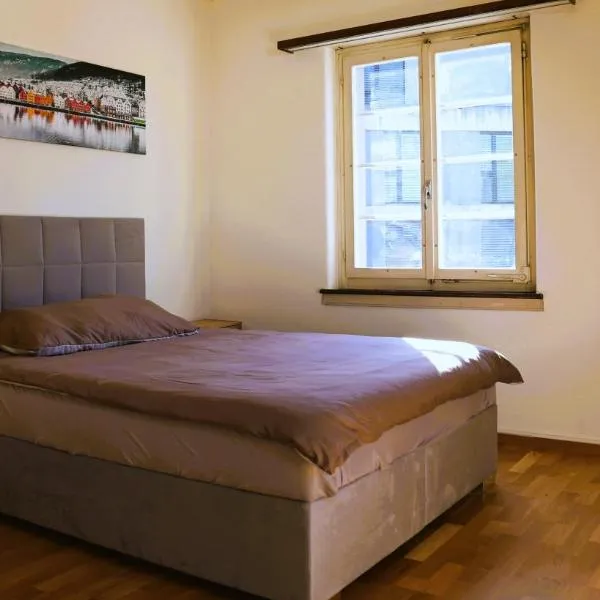 Apartment WG Zimmer Komplett Ausgestattet，位于Buchs的酒店