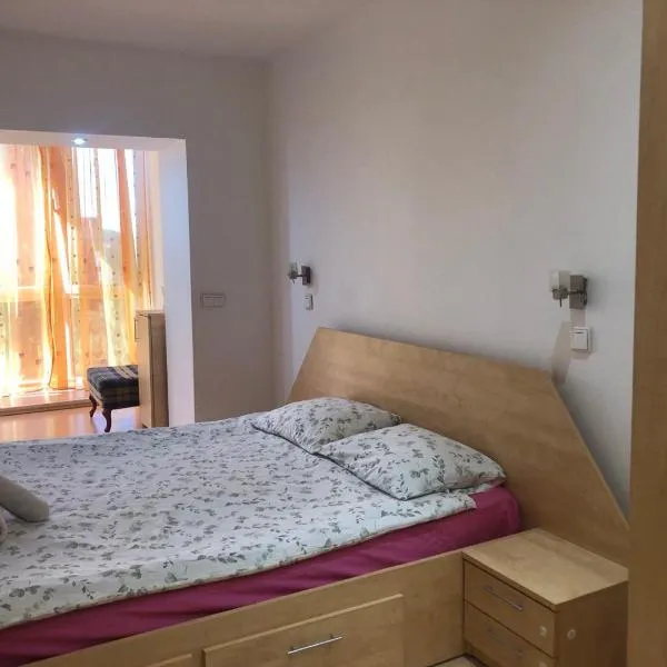 Central Hill Reșița，位于雷希察的酒店