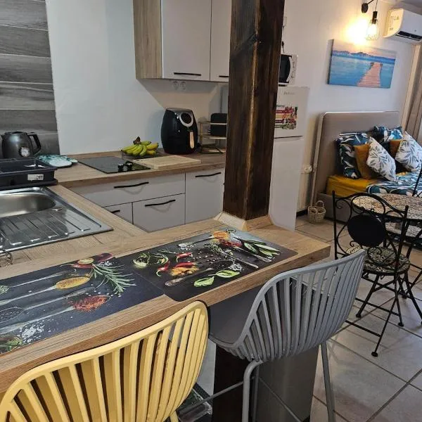 Business et Relax Studio à Pointe-à-Pitre，位于皮特尔角城的酒店