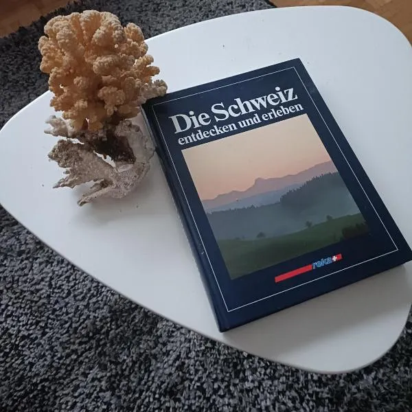 Freude Unterkunft Basel，位于艾勒史威尔的酒店