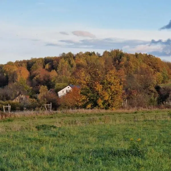 Michałówka Michaelhof，位于Tarczyn的酒店