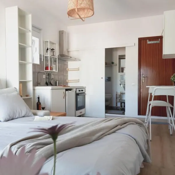 The Studio，位于阿尔热祖尔的酒店