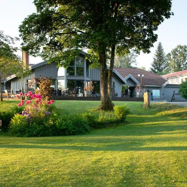 Hotell Lassalyckan，位于乌尔里瑟港的酒店