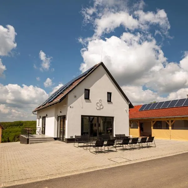 Förhénc Wine House & Guesthouses I-II-III，位于瑙吉考尼饶的酒店