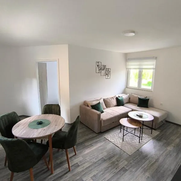 Apartman Removic，位于伊万尼察的酒店