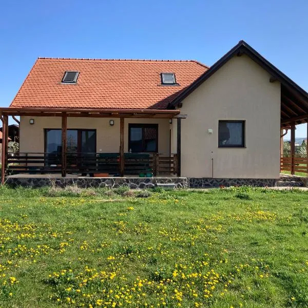 Kankalin vendégház，位于Bancu的酒店