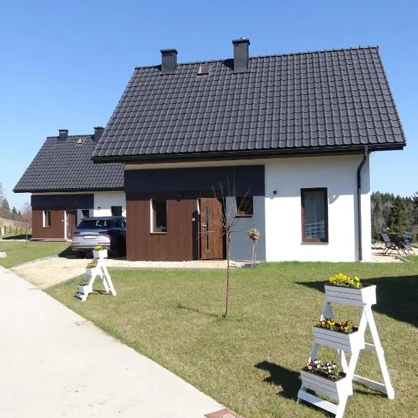 Agroturystyka Nad Lasem - Domki w górach，位于Toporzysko的酒店
