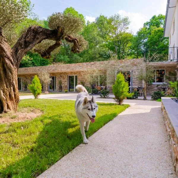 Havre de Paix au Cœur de la Forêt，位于圣普里的酒店