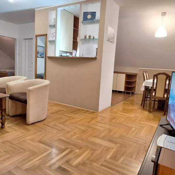 ANA Apartment，位于Dobanovci的酒店