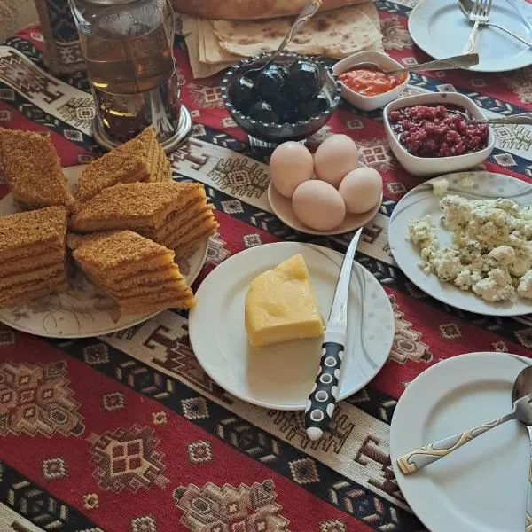 Manan Guesthouse，位于Chʼkalovka的酒店