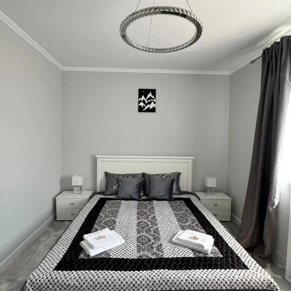 Brillante Apartament，位于弗洛雷什蒂的酒店