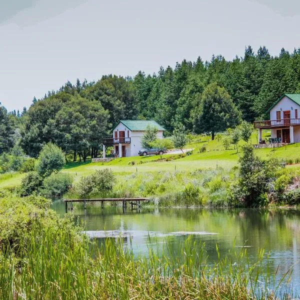 Silver Mist Resort, Haenertsburg，位于哈内茨堡的酒店