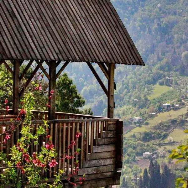 Hill Guesthouse - Wine Cellar, Fish Farm & Organic Cuisine，位于Keda的酒店